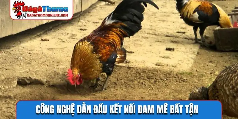 Công nghệ dẫn đầu kết nối đam mê bất tận