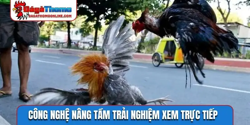 Công nghệ nâng tầm trải nghiệm xem trực tiếp