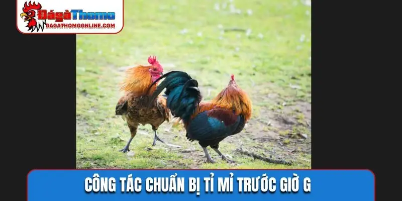 Công tác chuẩn bị tỉ mỉ trước giờ G
