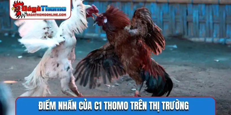 Điểm nhấn của C1 Thomo trên thị trường