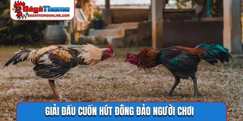 Giải đấu cuốn hút đông đảo người chơi