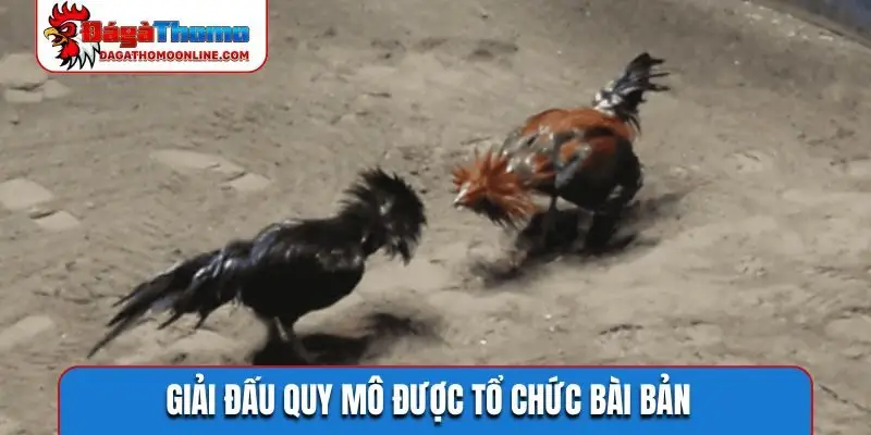 Giải đấu quy mô được tổ chức bài bản