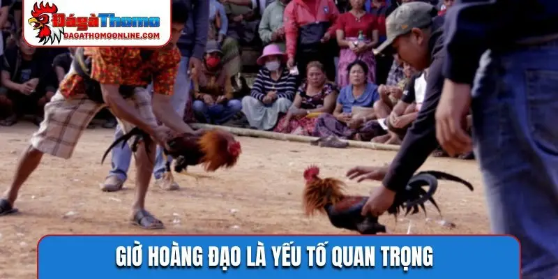 Giờ hoàng đạo là yếu tố quan trọng