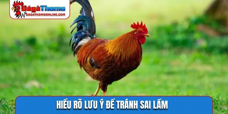 Hiểu rõ lưu ý để tránh sai lầm