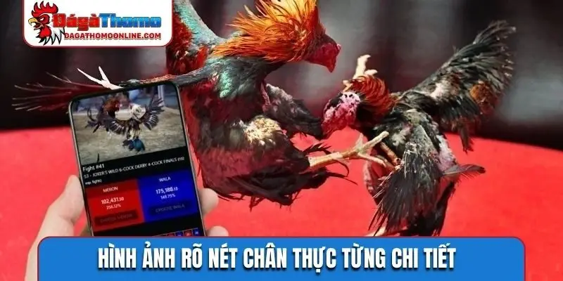 Hình ảnh rõ nét chân thực từng chi tiết