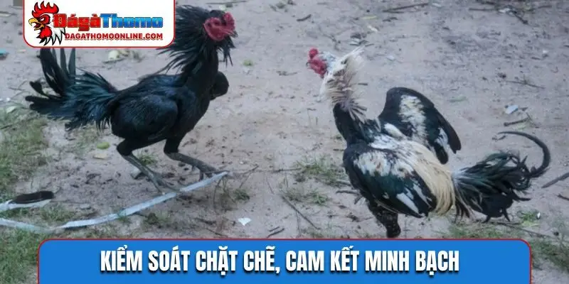 Kiểm soát chặt chẽ, cam kết minh bạch