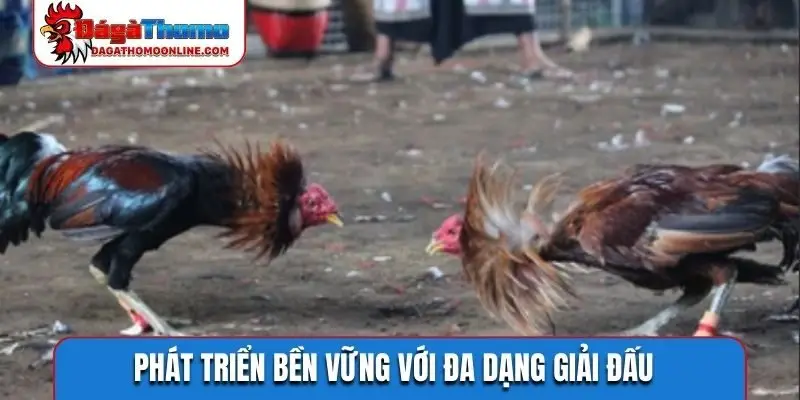 Phát triển bền vững với đa dạng giải đấu