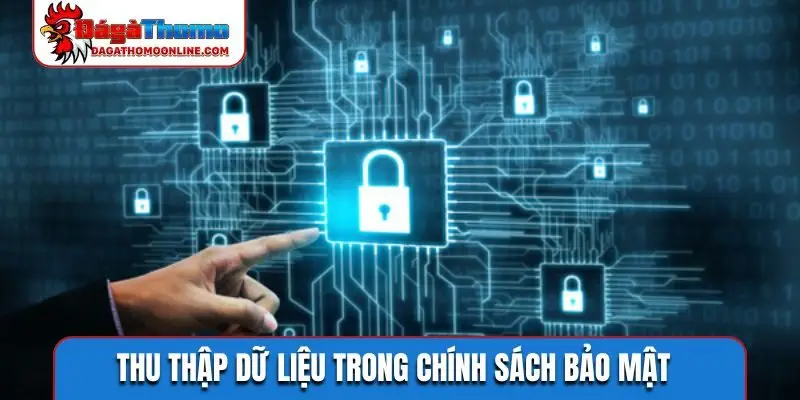 Thu thập dữ liệu trong chính sách bảo mật