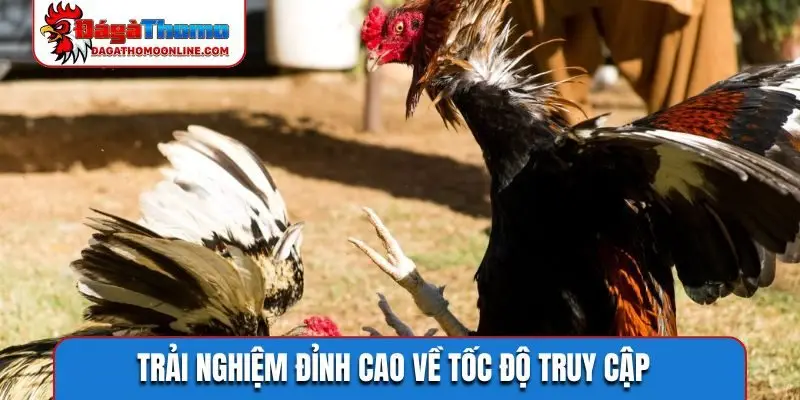 Trải nghiệm đỉnh cao về tốc độ truy cập