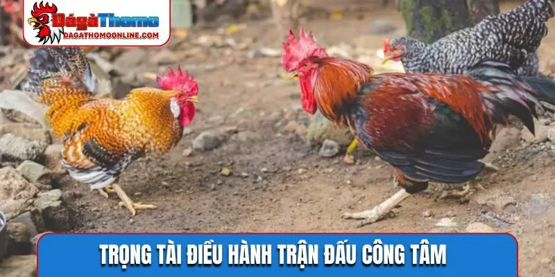 Trọng tài điều hành trận đấu công tâm