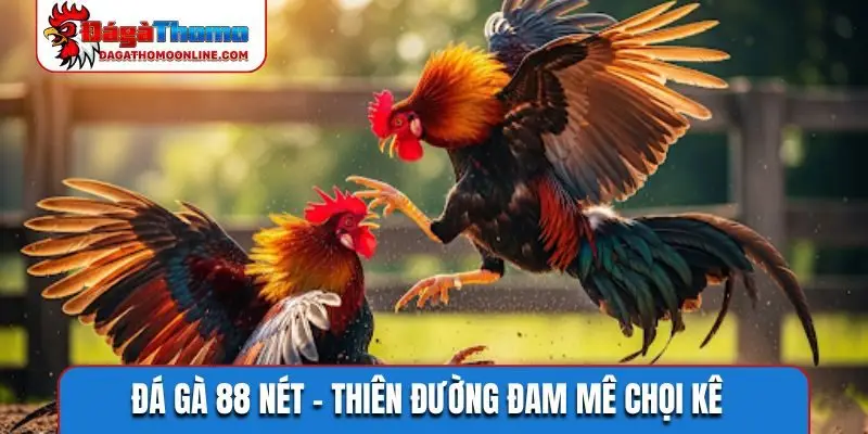 Đá gà 88 nét