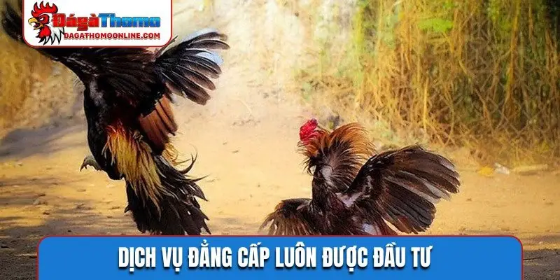 Dịch vụ đẳng cấp luôn được đầu tư