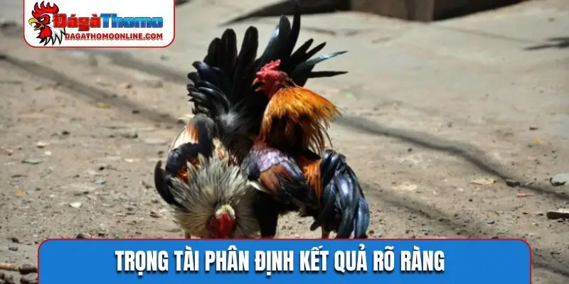 Trọng tài phân định kết quả rõ ràng