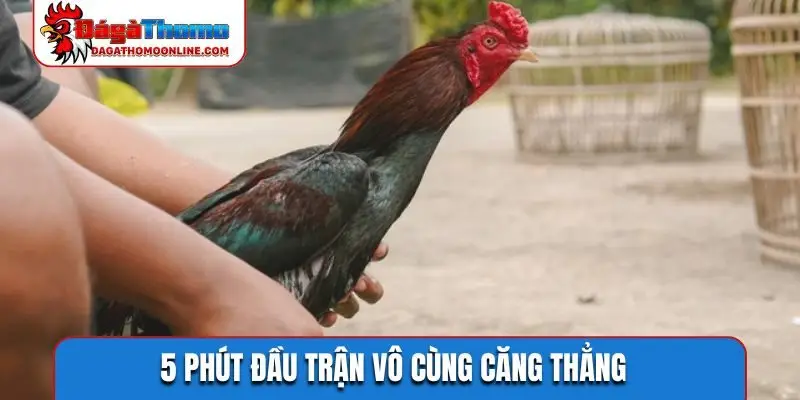 5 phút đầu trận vô cùng căng thẳng