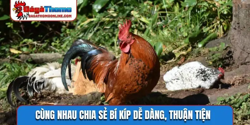 Cùng nhau chia sẻ bí kíp dễ dàng, thuận tiện
