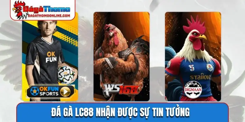 Đá gà LC88 nhận được sự tin tưởng