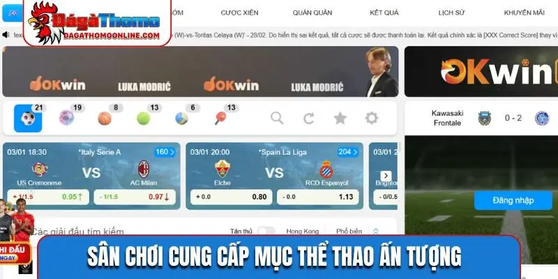Sân chơi cung cấp mục thể thao ấn tượng