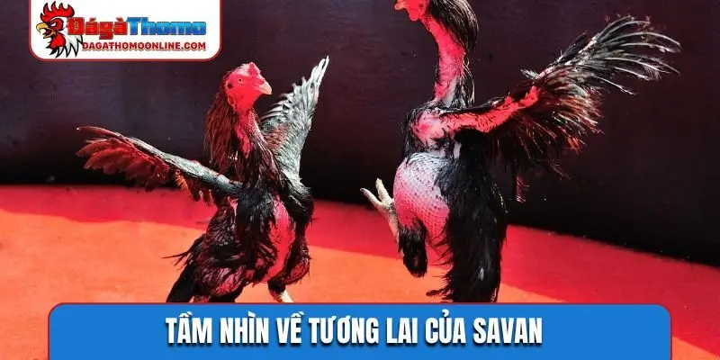 Tầm nhìn về tương lai của Savan